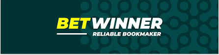 BetWinner Online Gambling Platform A Comprehensive Review -248538669