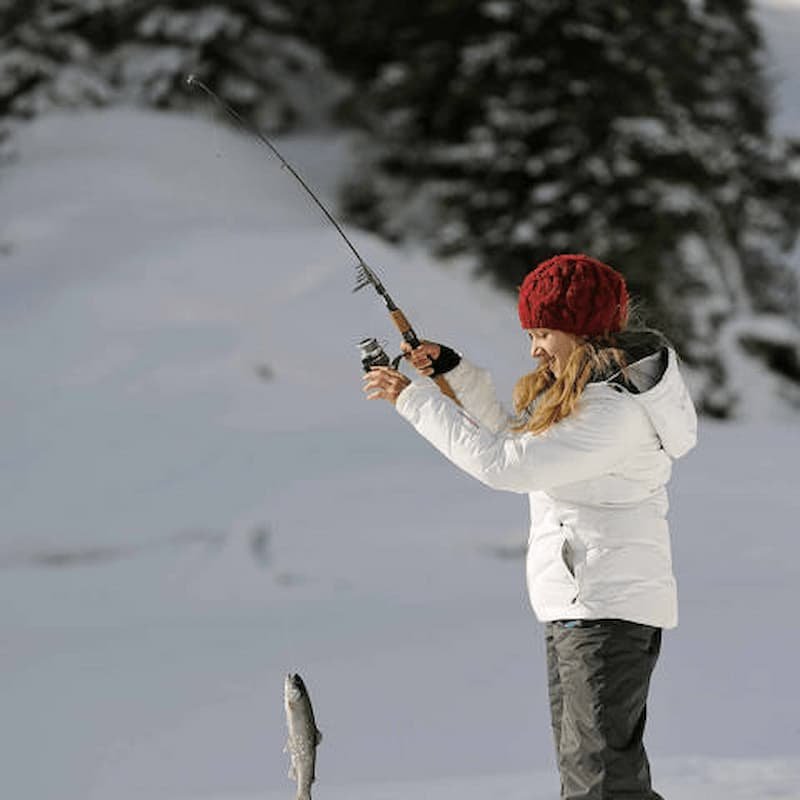 Das Geheimnis der Eisfischen: Erfahrungen mit Online-Ice-Fishing-Glücksspielen